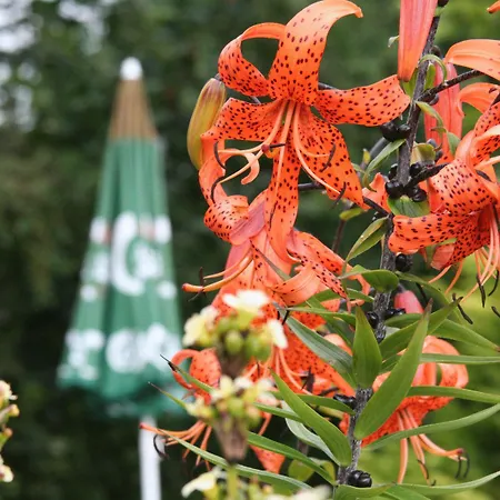 The Brantwood Penrith